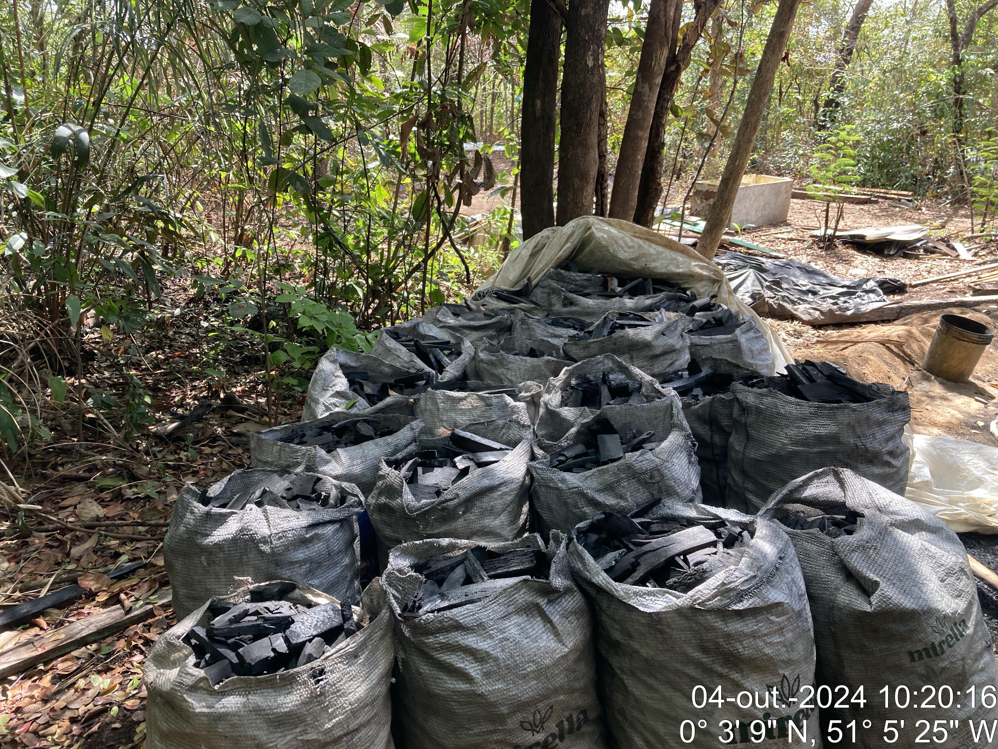 EM MACAPÁ, POLÍCIA CIVIL PRENDE TRÊS INDIVÍDUOS EM FLAGRANTE POR PRODUÇÃO ILEGAL DE CARVÃO VEGETAL E POLUIÇÃO 